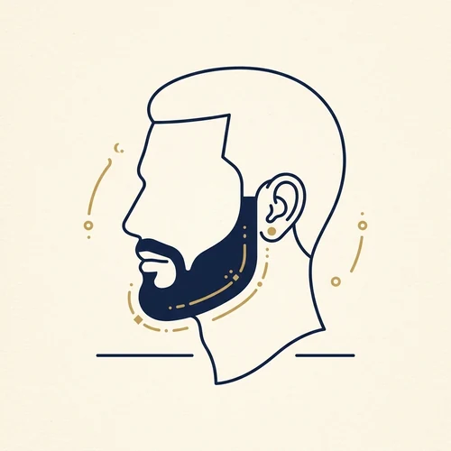 Diagrama de um rosto quadrado com barba curta suavizando o ângulo do maxilar